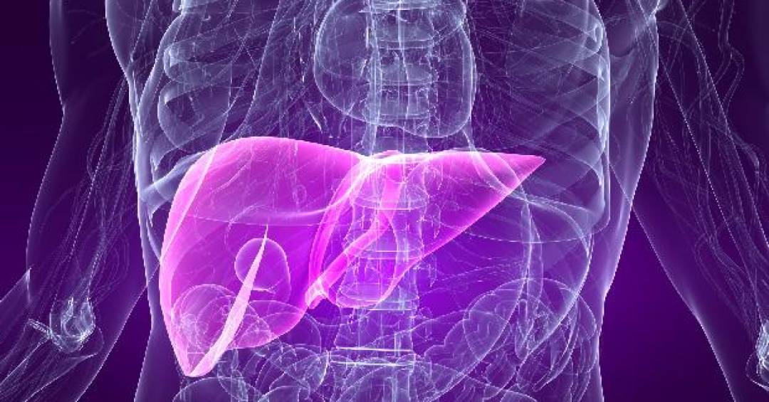 doenca-metabolica-do-figado:-por-que-se-proteger-desse-problema-silencioso
