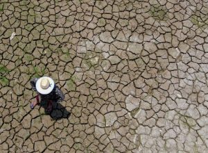 viva-maria-celebra-o-dia-de-combate-a-desertificacao
