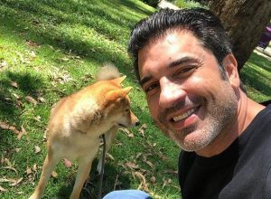 o-que-e-cancer-de-pancreas,-que-acometeu-edu-guedes;-conheca-sintomas-e-tratamentos