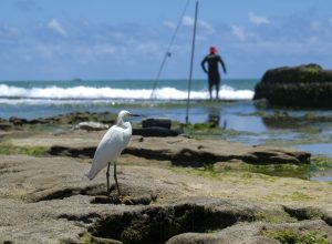 programa-amazonia-azul-deve-ser-lancado-em-agosto