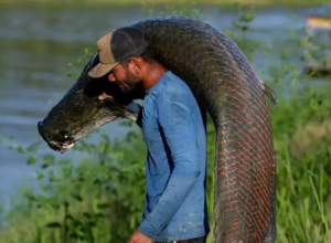 pele-de-peixe-gigante-da-amazonia-vira-bolsa-de-luxo,-mas-ganho-nao-chega-a-pescadores