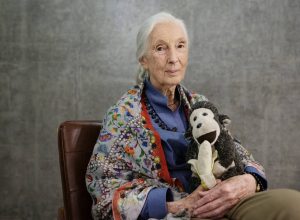 em-entrevista-postuma,-jane-goodall-diz-que-enviaria-trump,-musk-e-putin-ao-espaco