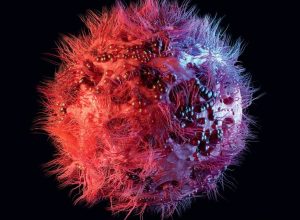 diagnostico-preciso-e-escudo-que-falta-contra-doencas-infecciosas