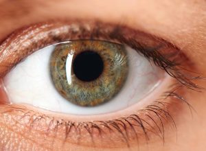 nova-pesquisa-investiga-efeitos-na-visao-em-intoxicacao-por-metanol