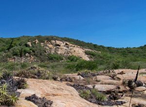 geoparque-serido-e-tema-do-caminhos-da-reportagem-desta-segunda