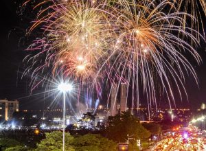 fogos-de-artificios-com-estampido-sao-risco-para-animais-e-pessoas