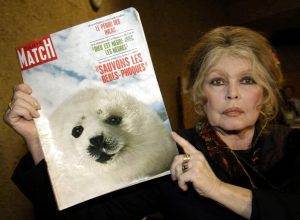 franca-debate-como-homenagear-brigitte-bardot-entre-seu-legado-e-suas-polemicas