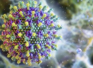 nipah:-saiba-mais-sobre-o-virus-que-preocupa-a-asia