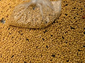 graos-em-chicago-disparam-com-tensoes-geopoliticas