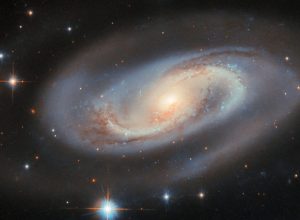 horoscopo:-saiba-o-que-esperar-para-o-seu-signo-nesta-quarta-feira,-dia-8