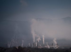 cubatao-ganha-selo-de-cidade-verde